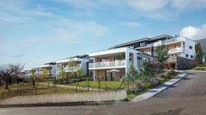 entiel-collectif-julien-rubel-la-motte-servolex