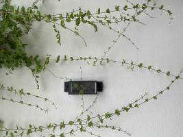 Nicola ALEXANDRE - ADN AGENCEUR DECORATEUR NICOLA